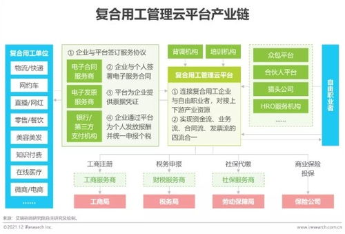 2021年博爾捷數(shù)字科技行業(yè)研究報告 數(shù)字技術服務的新機遇與挑戰(zhàn)